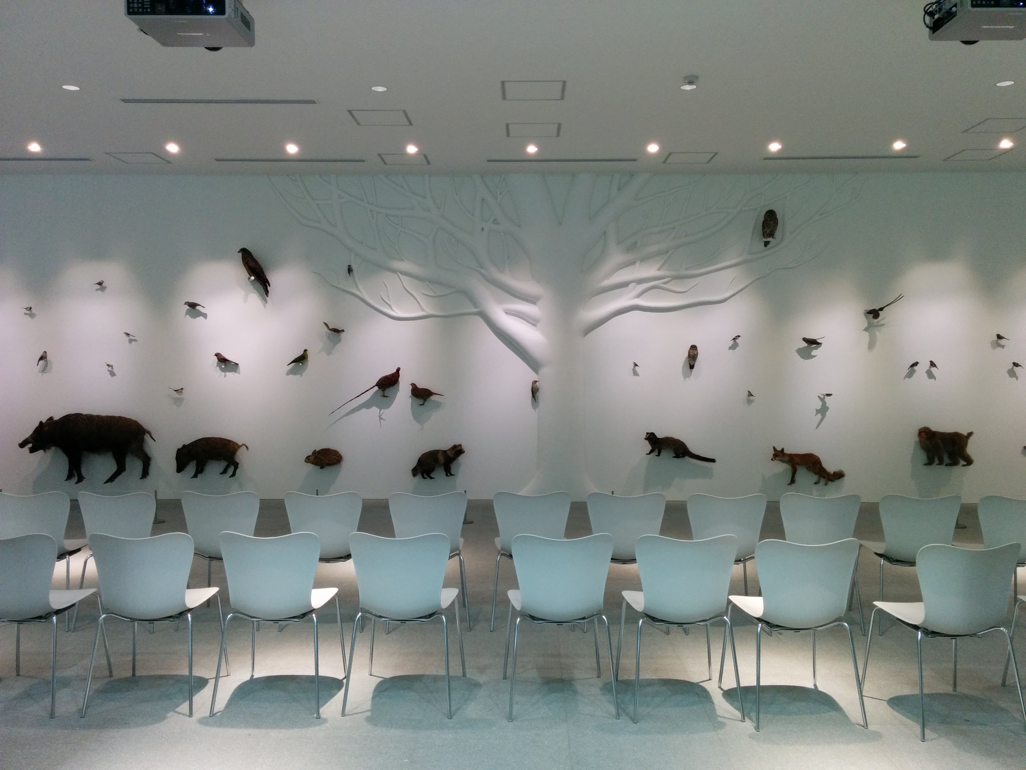 🏛️ 다카오 599 뮤지엄(타카오 고햐쿠큐주큐 뮤지아무) 이미지 3